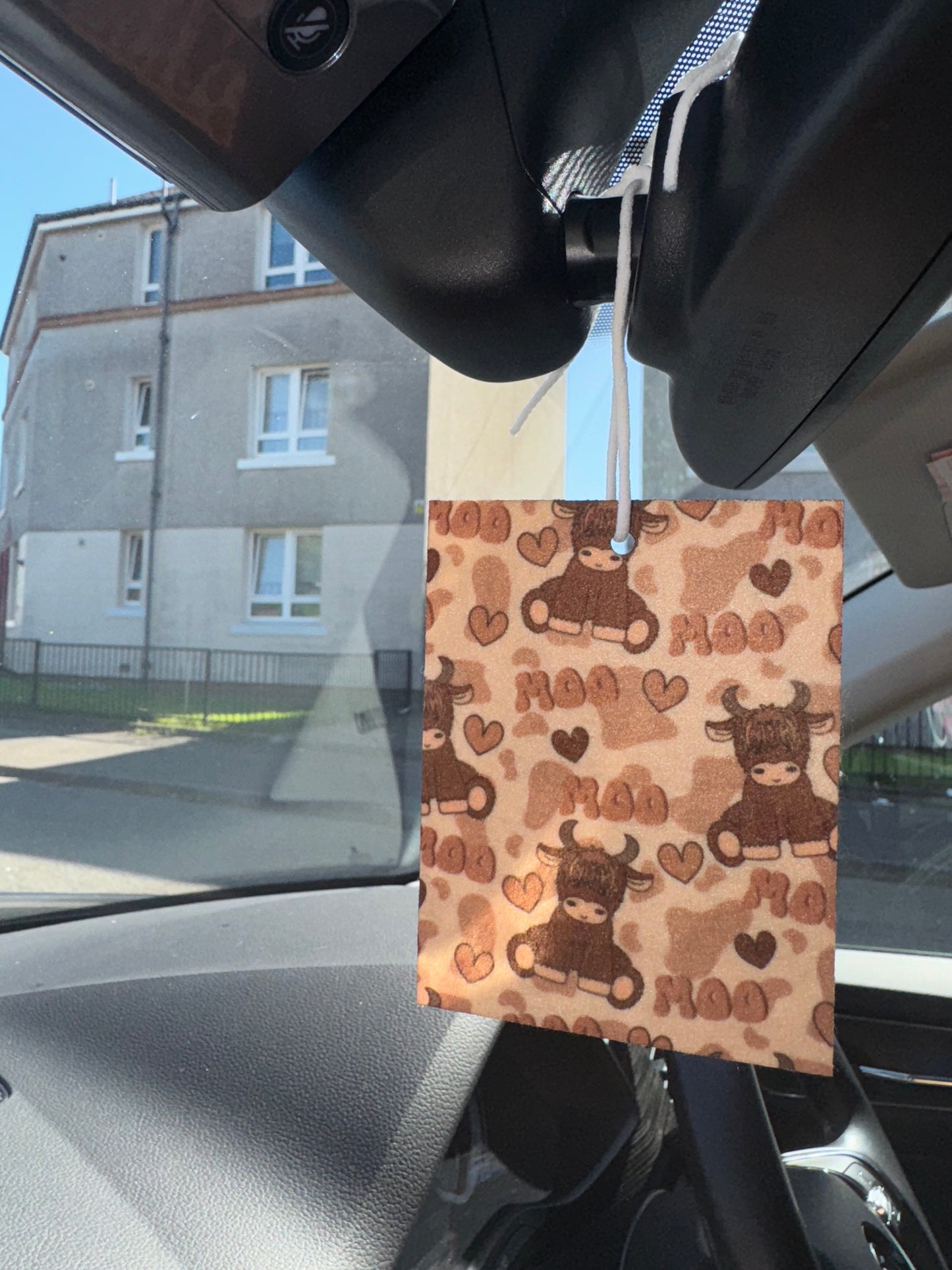 Unscented Air Freshener’s